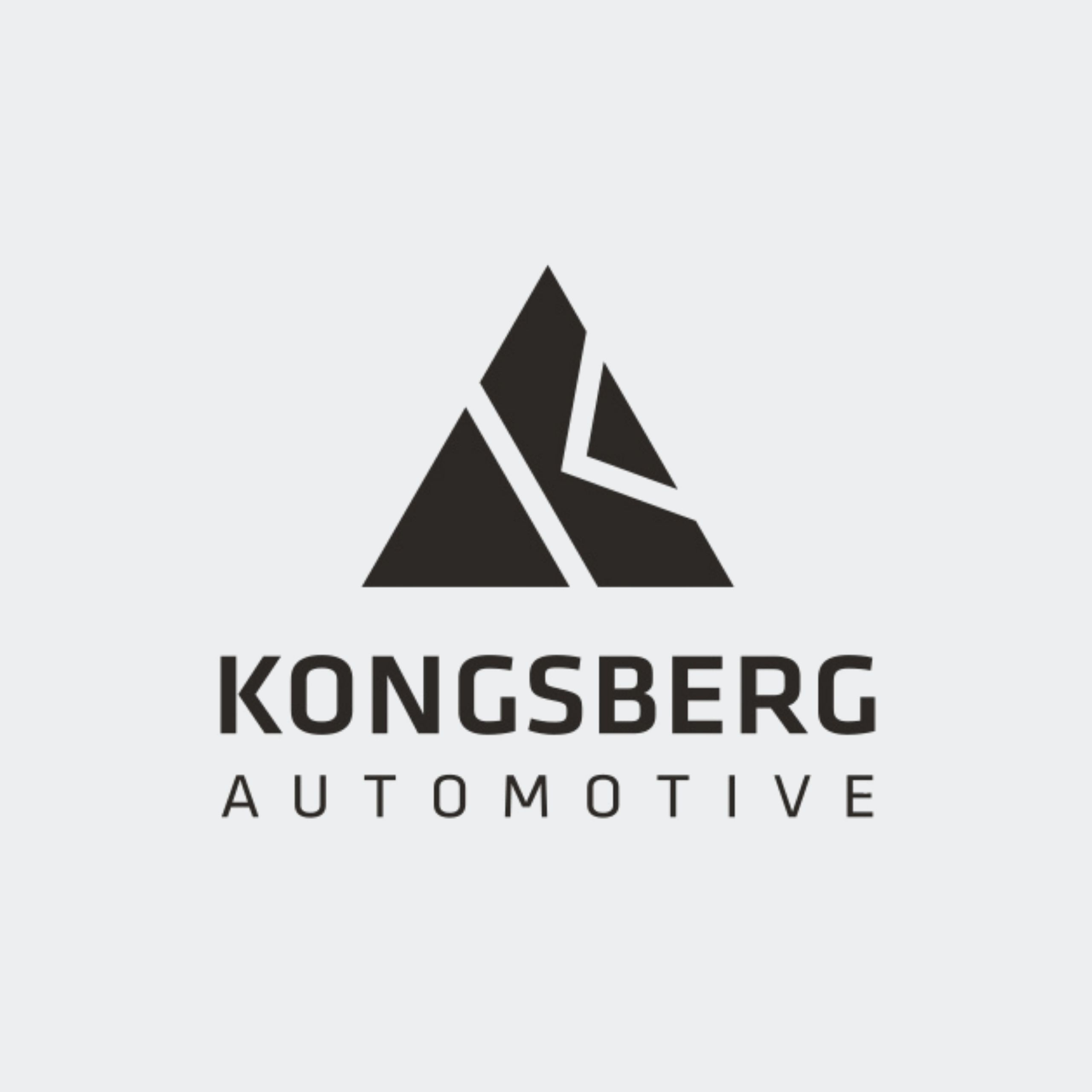 Home kongsberg